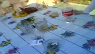 Чеченская пара снимает свою порнуху на улице Screen №6