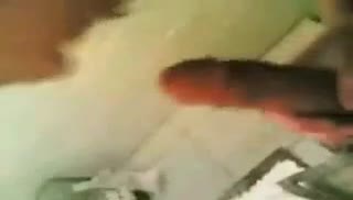 Деваха робко берет в ротик перед камерой Screen №5