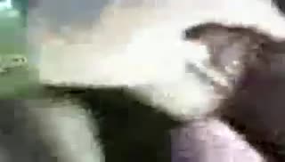 uz xxx Уложил брюнетку на лопатки и засадил ей от первого лица