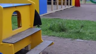 uz xxx Развратная пара оскверняет детскую площадку