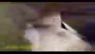 Кавказец прет свою любовницу перед камерой Screen №4