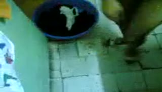 Аккуратно пристроил девушке член раком Screen №1