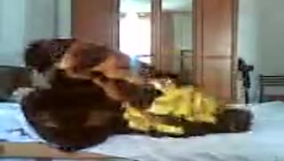 Таджикская парочка снимает домашнюю порнуху Screen №6